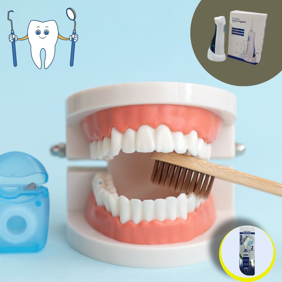 Seda Dental