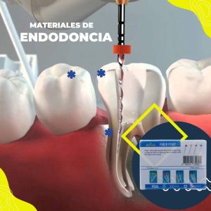 Endodoncia