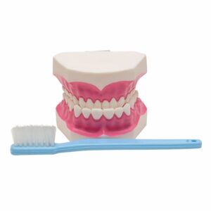 Macromodelo Plastico